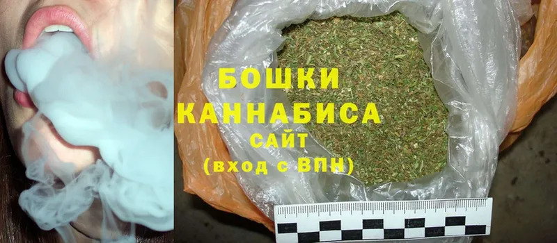 ссылка на мегу онион  Пошехонье  Бошки марихуана Amnesia  закладки 